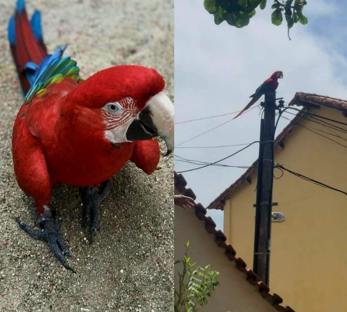 Você Não Tá Convidada pro Meu Bat Mitzvá!