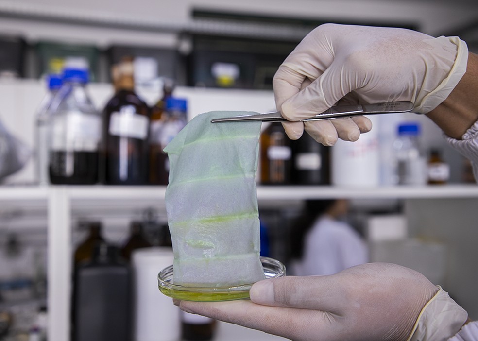 As mantas, utilizadas como embalagens, são capazes de monitorar a qualidade de alimentos em tempo real pela alteração da cor. — Foto: Divulgação / Embrapa