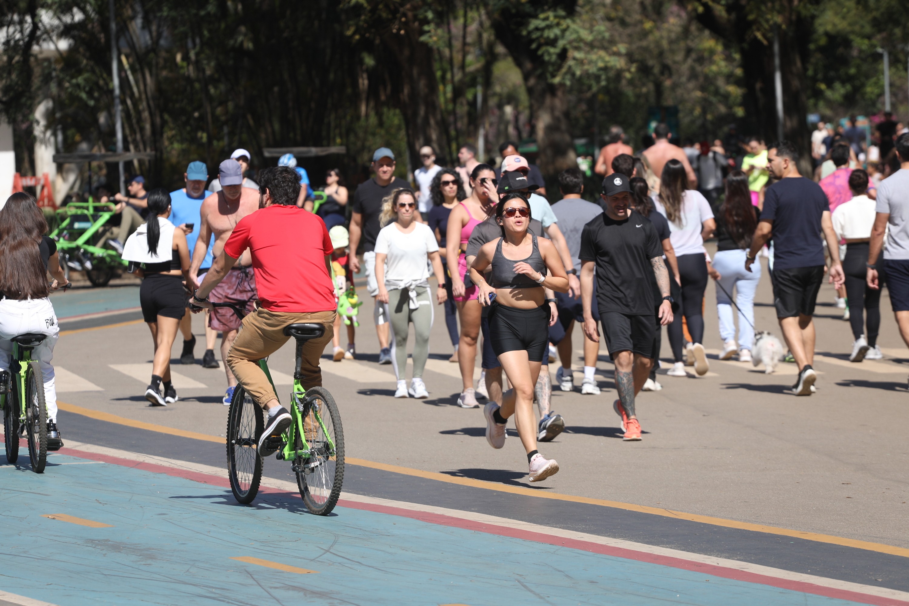 Veja o que se sabe e o que falta esclarecer sobre casos de agressões dentro do Parque Ibirapuera