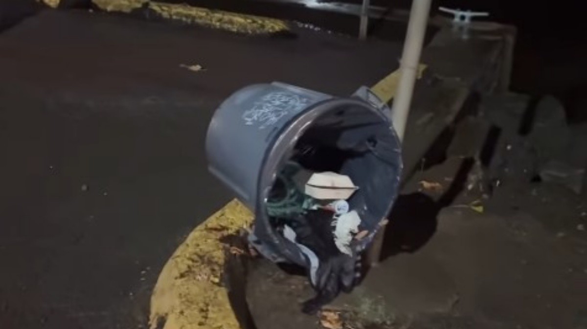 Carioca diz que alerta de tsunami foi o mais preocupante que já viveu no Havaí e, após alívio, compara a ressaca: 'No RJ, água invadiu mais'