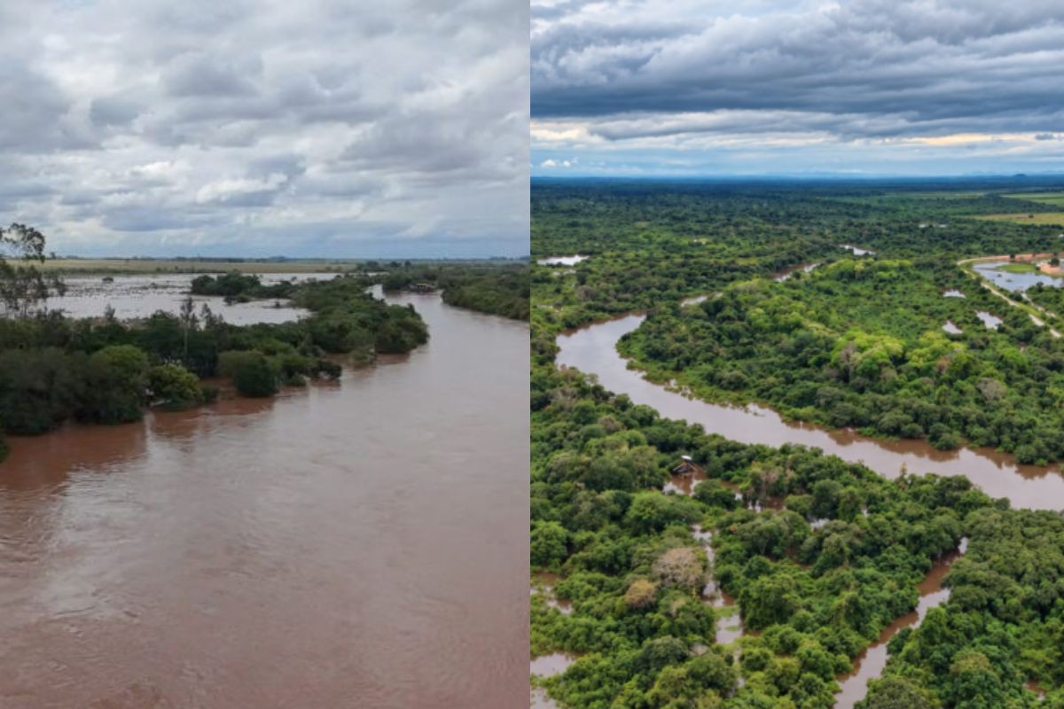 Cheia em rios de MS ultrapassam níveis de alerta e previsão indica mais chuva