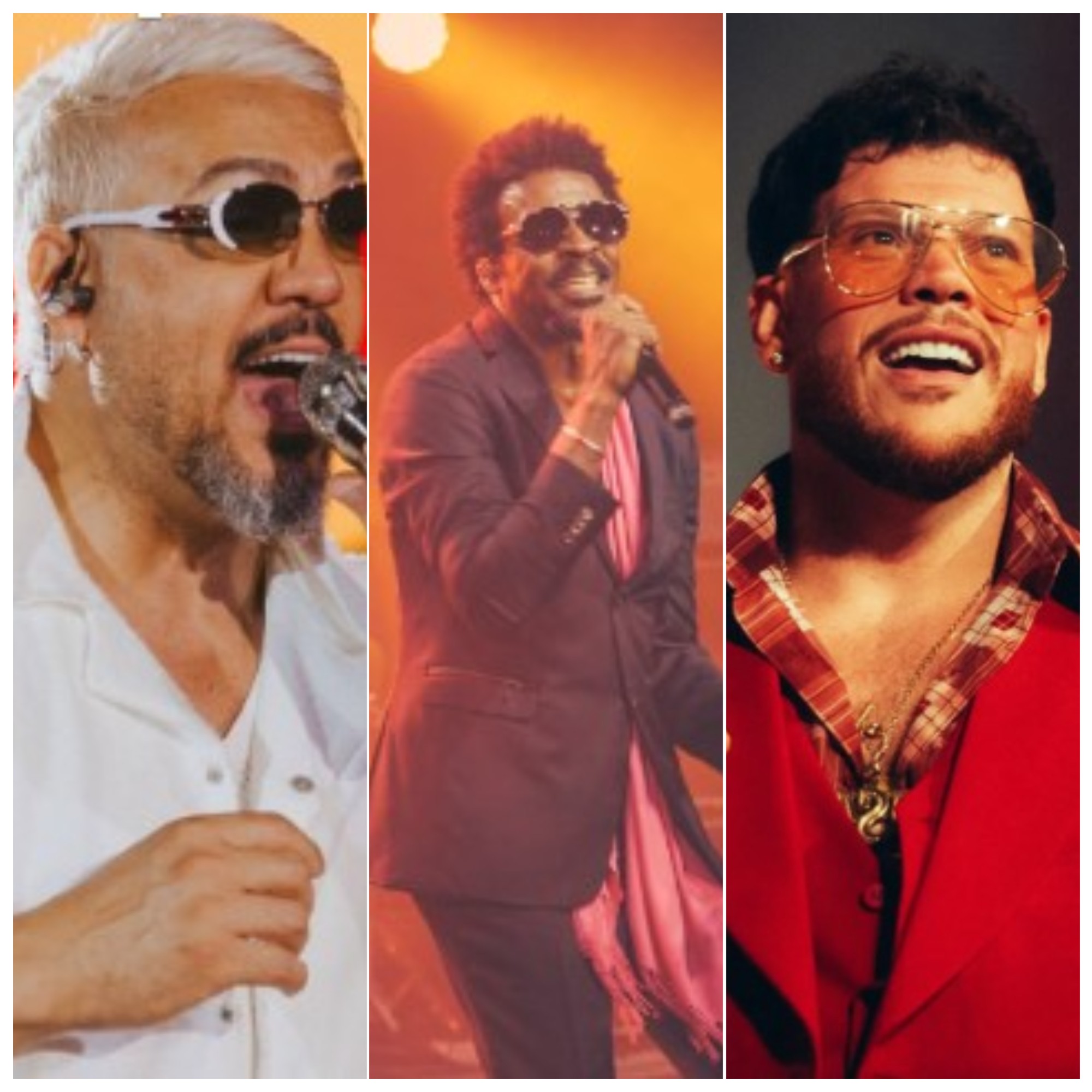 Com Belo, Seu Jorge e Ferrugem entre as atrações, Terreirão do Samba terá 10 dias de shows no carnaval