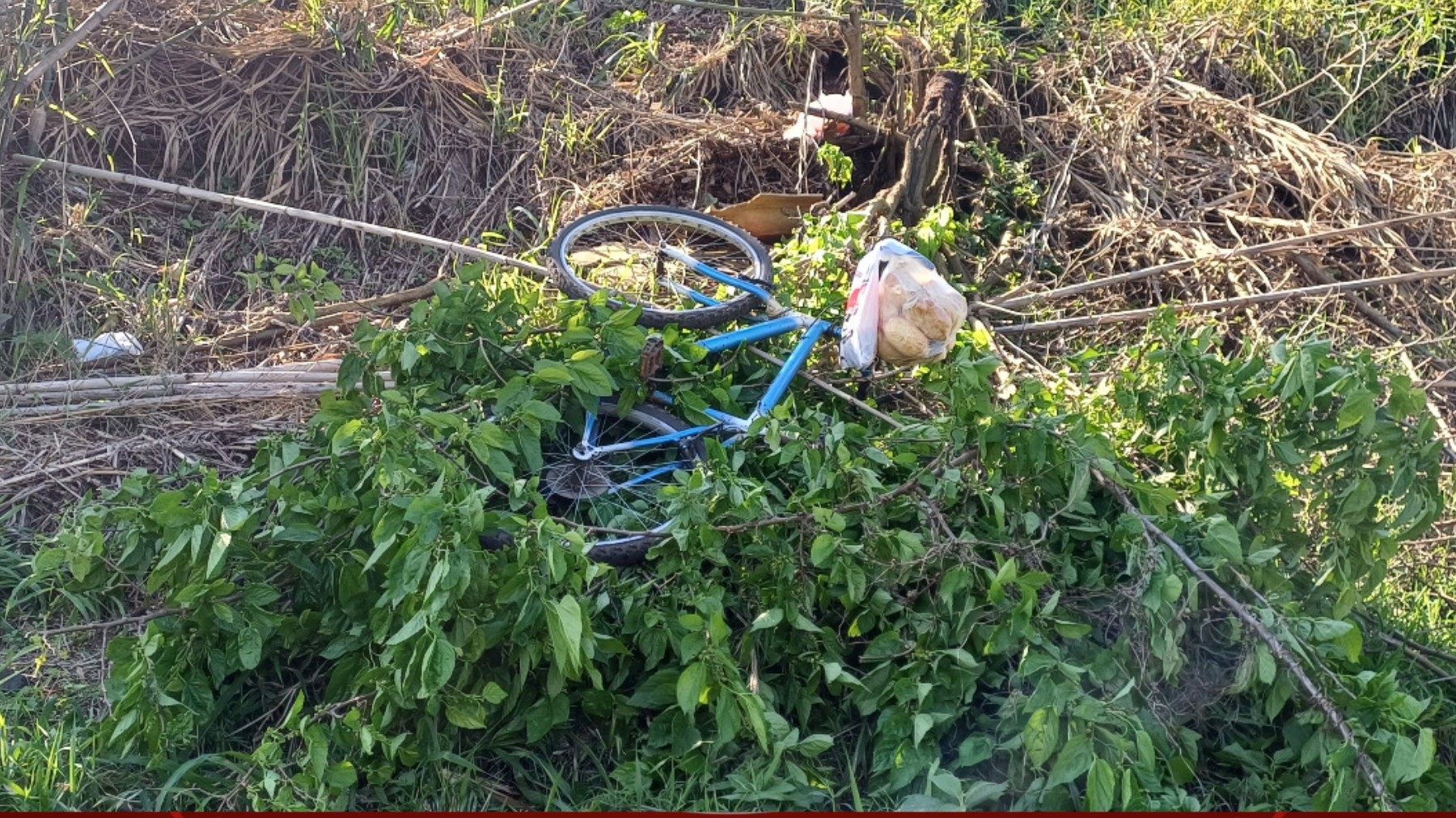 Ciclista sobrevive após despencar de barranco de 8 metros de altura em rodovia no Paraná