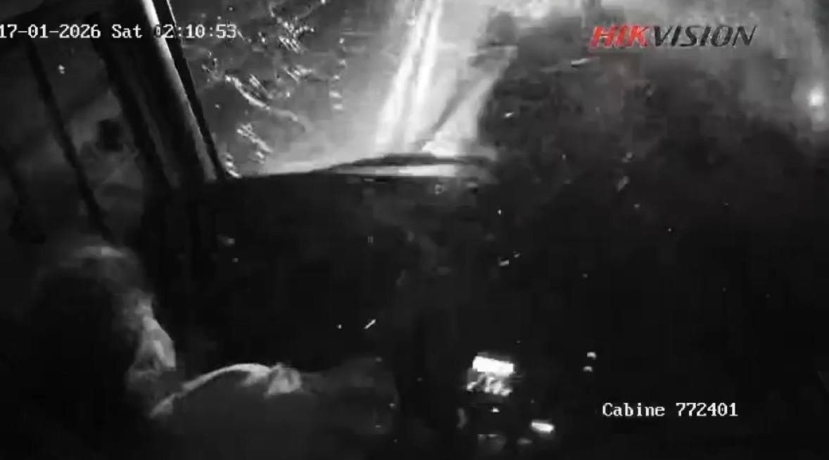 VÍDEO mostra momento em que cavalos invadem BR-116 e causam acidente com ônibus de viagem