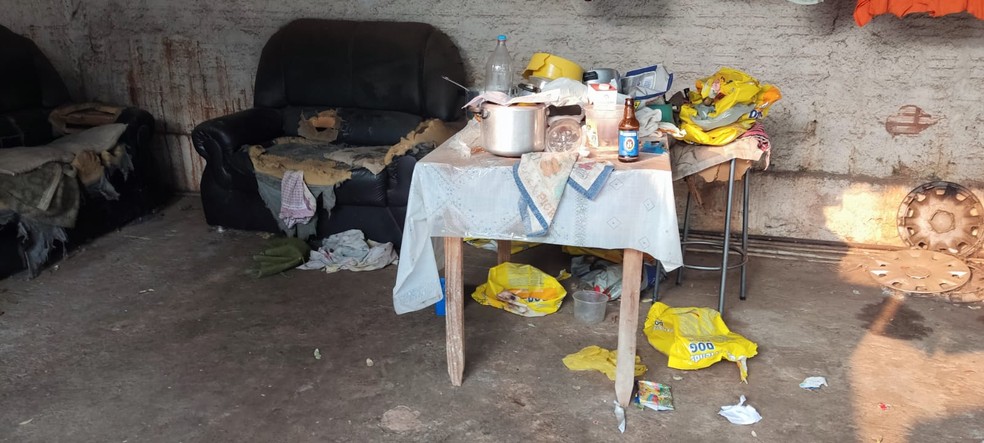 Cachorros com sinais de maus-tratos são encontrados e dono é recebe multa de R$ 12 mil — Foto: Polícia Ambiental