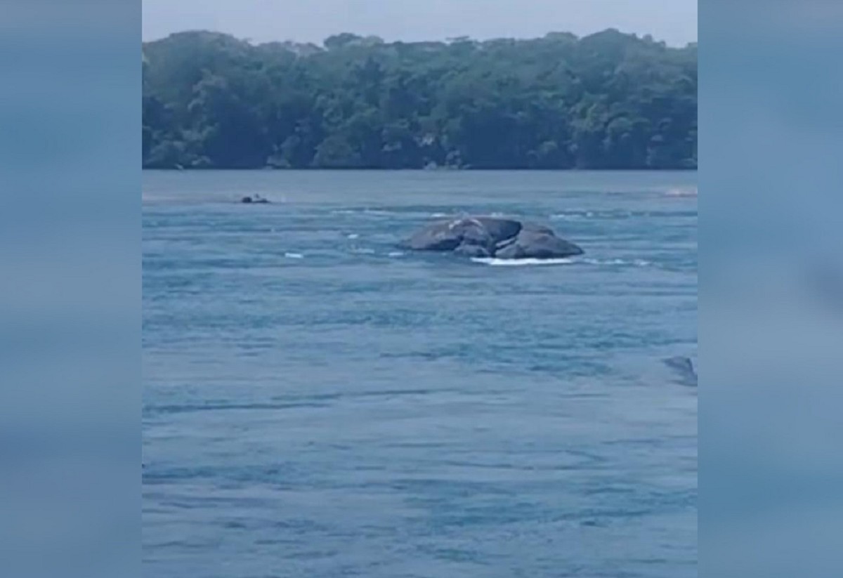 Corpo de menino de 12 anos que desapareceu em rio é encontrado com ajuda de drone