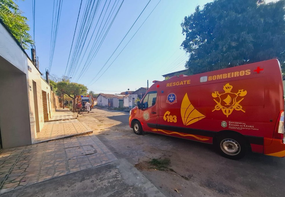 Ataque de abelhas deixou cães mortos e pessoas feridas em bairro de Fortaleza. — Foto: Arquivo pessoal