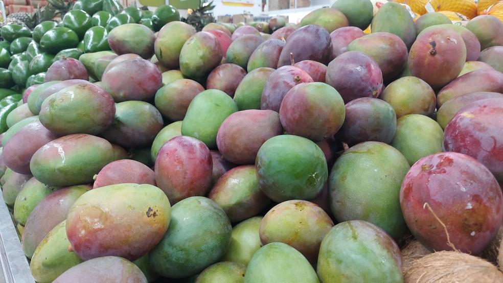 Manga e abacate estão entre as frutas frescas mais exportadas pelo Brasil, conforme aponta o Cepea da USP em Piracicaba — Foto: Claudia Assencio/g1