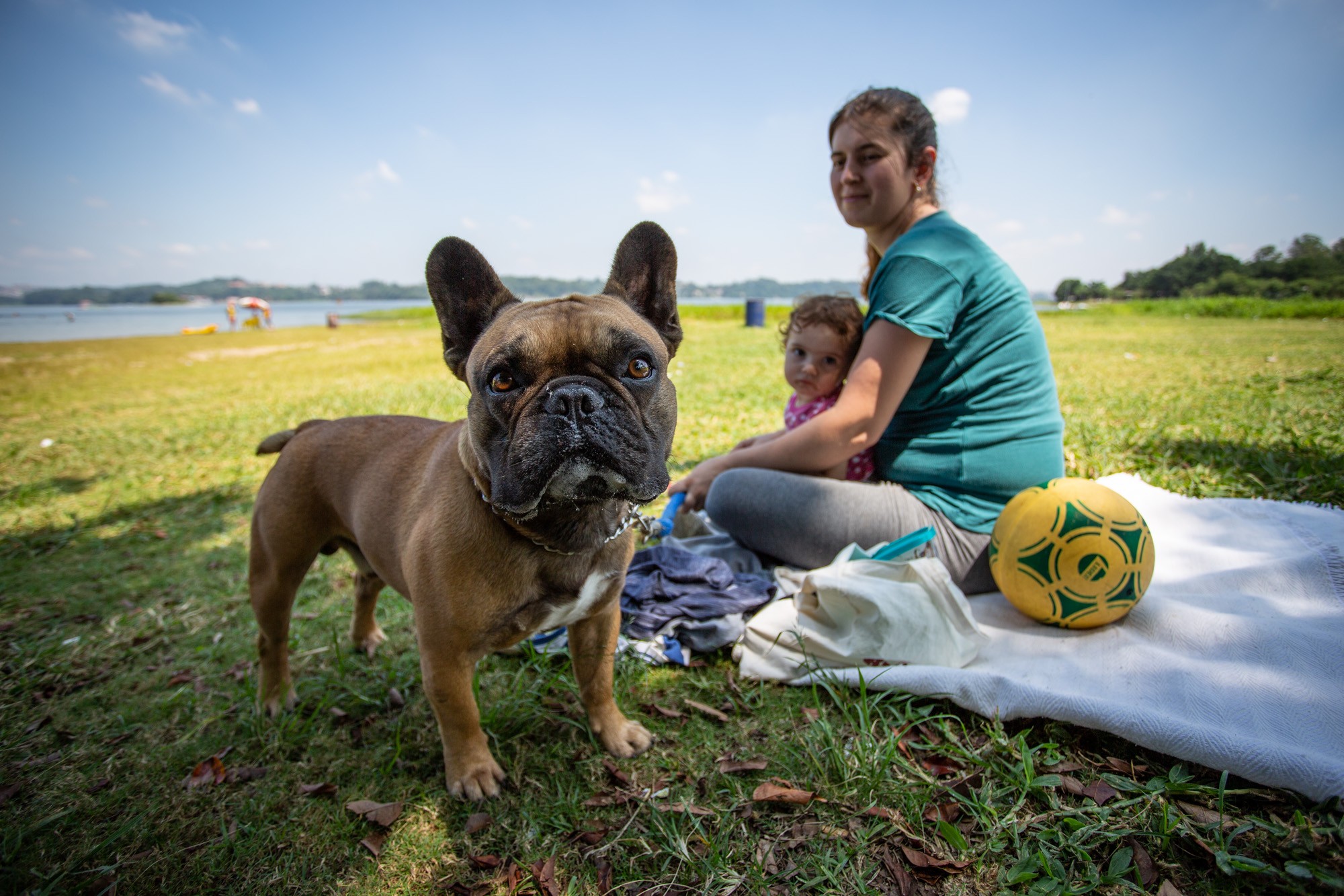 São Vicente anuncia Parque Pet na orla do Itararé; veja como será o espaço