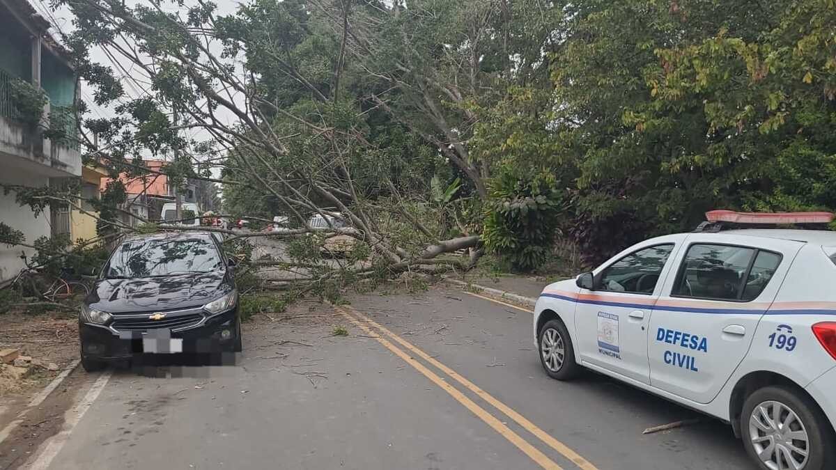 Árvore cai sobre carro e casa e interdita avenida em Resende