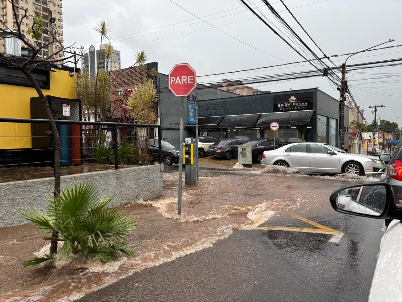 Chuva derruba postes e árvores no Parque do Mirante e fecha pontos turísticos em Piracicaba; veja locais afetados 