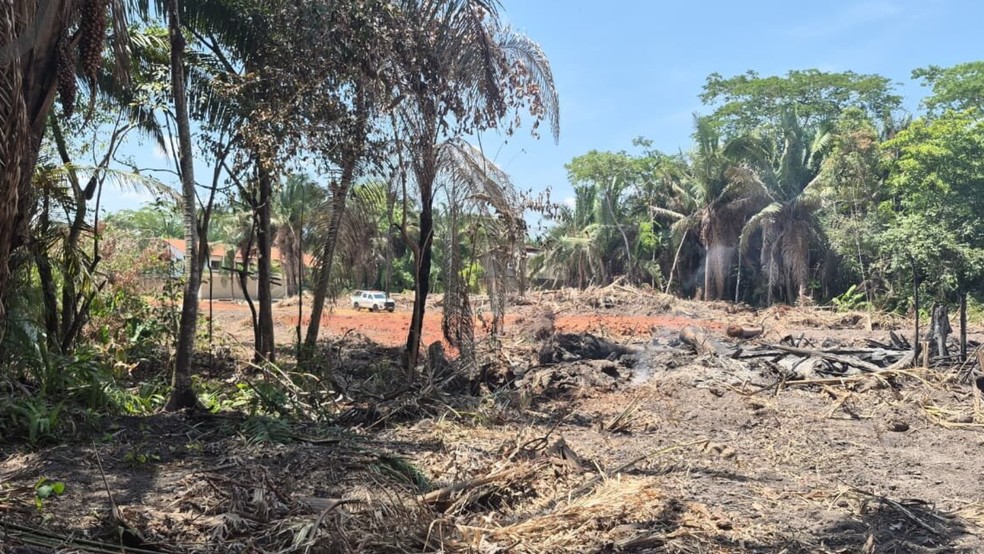 Fiscais flagram desmatamento ilegal nas margens de riacho em Teresina após denúncia anônima — Foto: Divulgação/Semarh