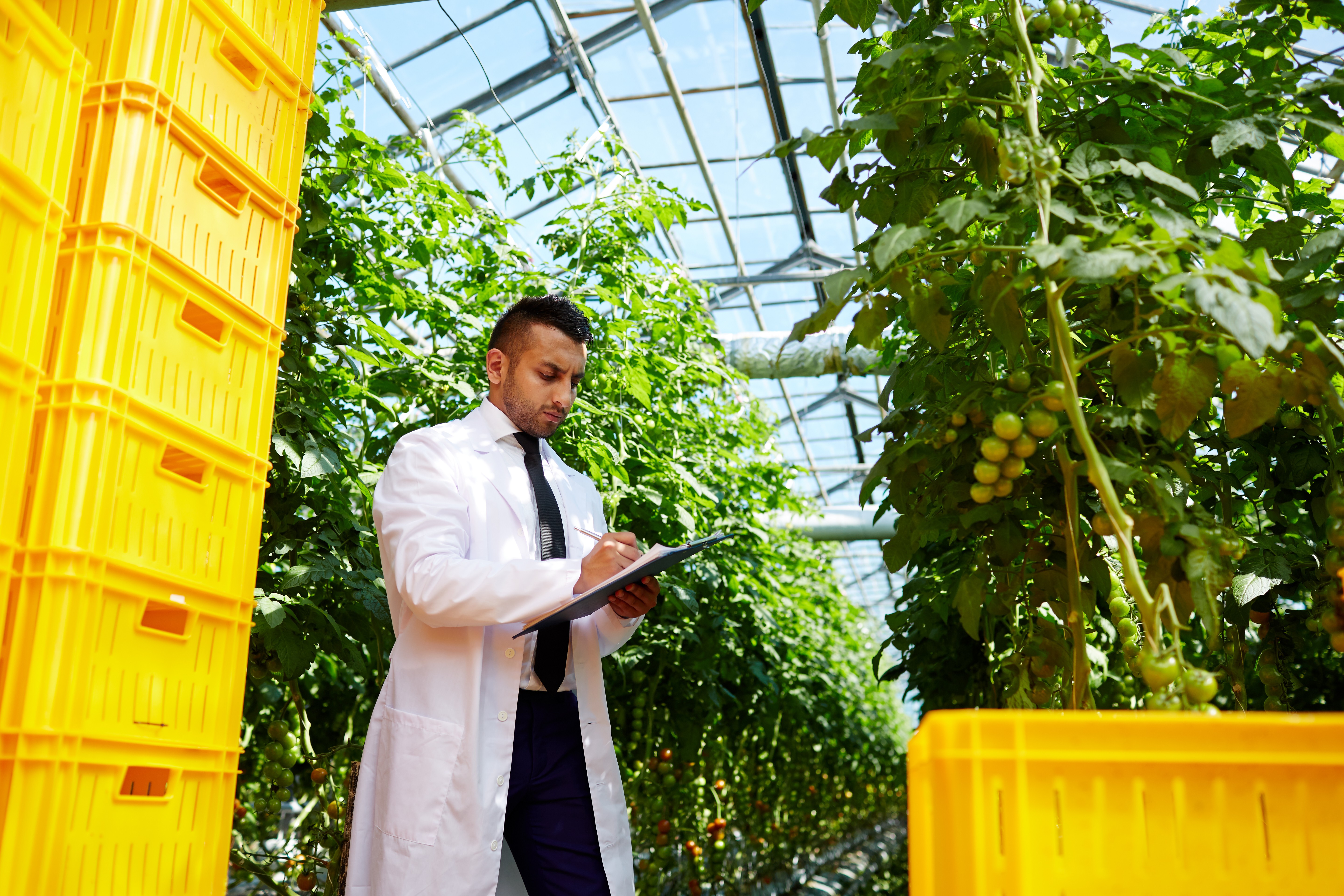 Diversidade produtiva impulsiona agronegócio catarinense