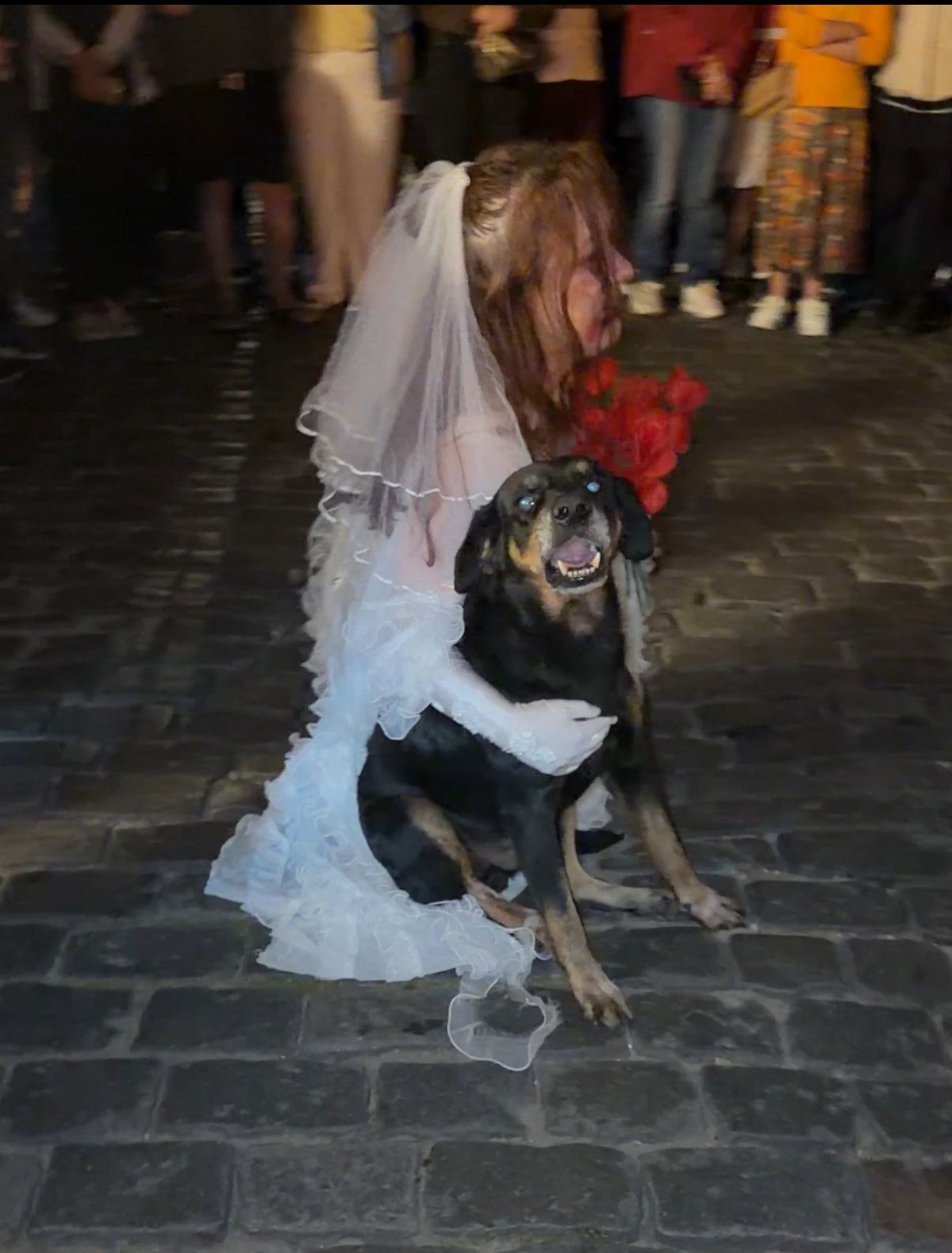 Vira-lata invade cena de teatro de drama e faz público cair na risada em MG; VÍDEO