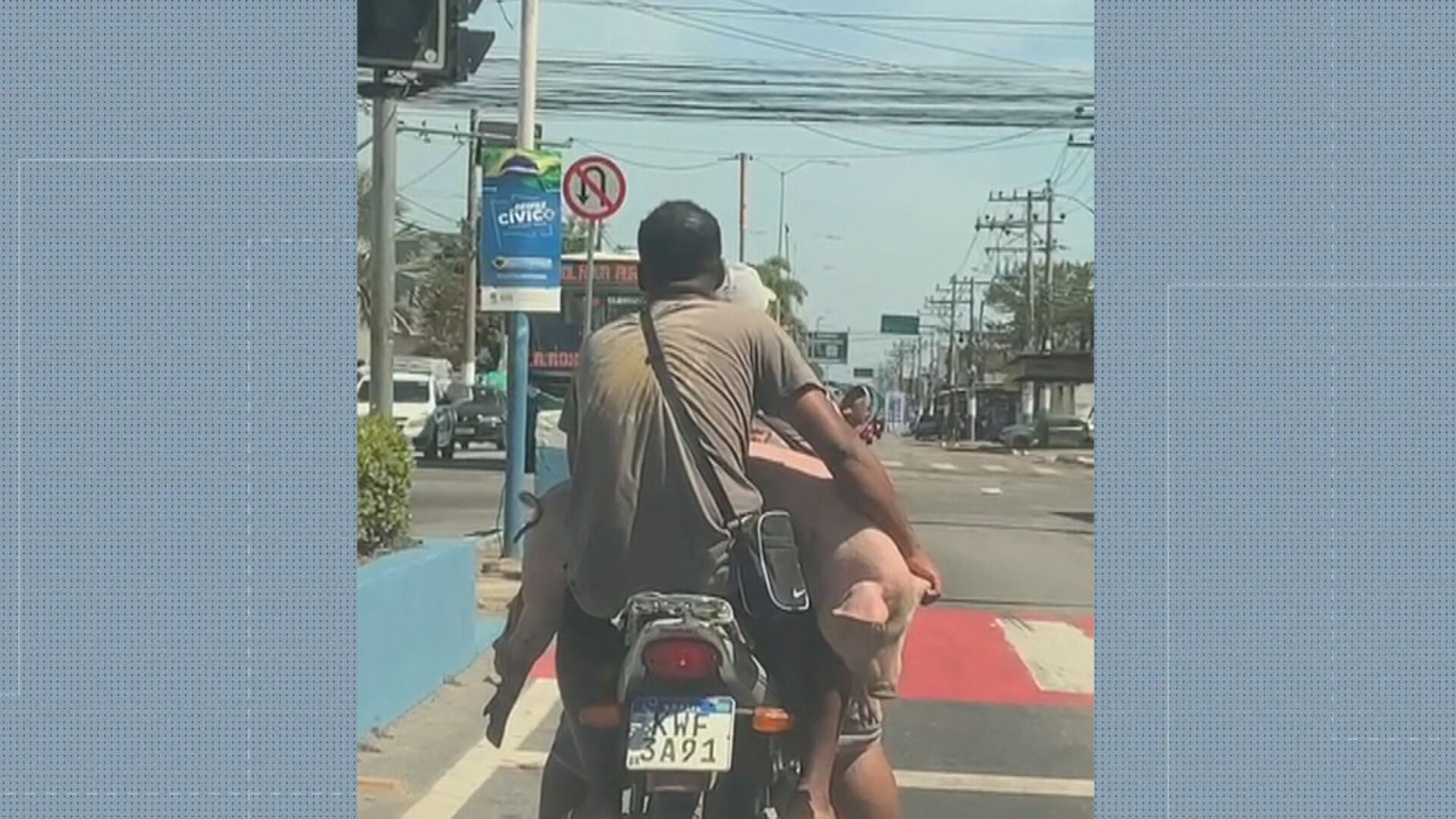 Homens são flagrados levando porco vivo em moto em Belford Roxo