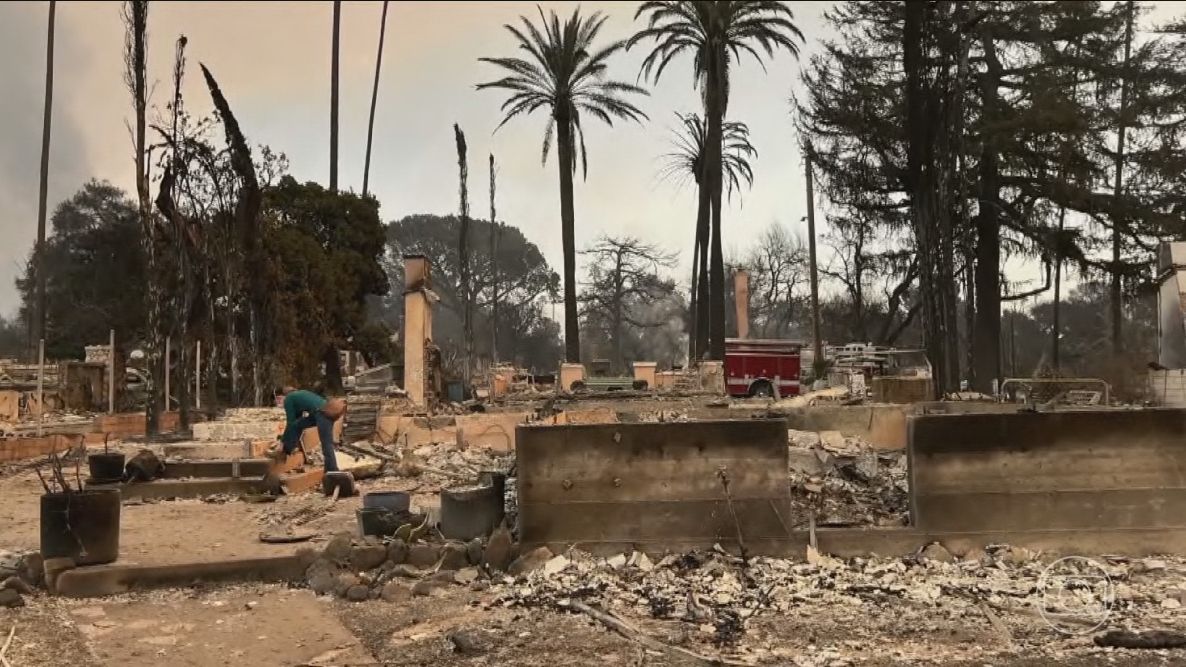 Previsão de ventos fortes desafia quem combate incêndios na Califórnia, nos Estados Unidos