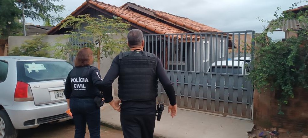 Grupo usava diferentes estratégias para ocultar e revender os veículos — Foto: Polícia Civil de Mato Grosso