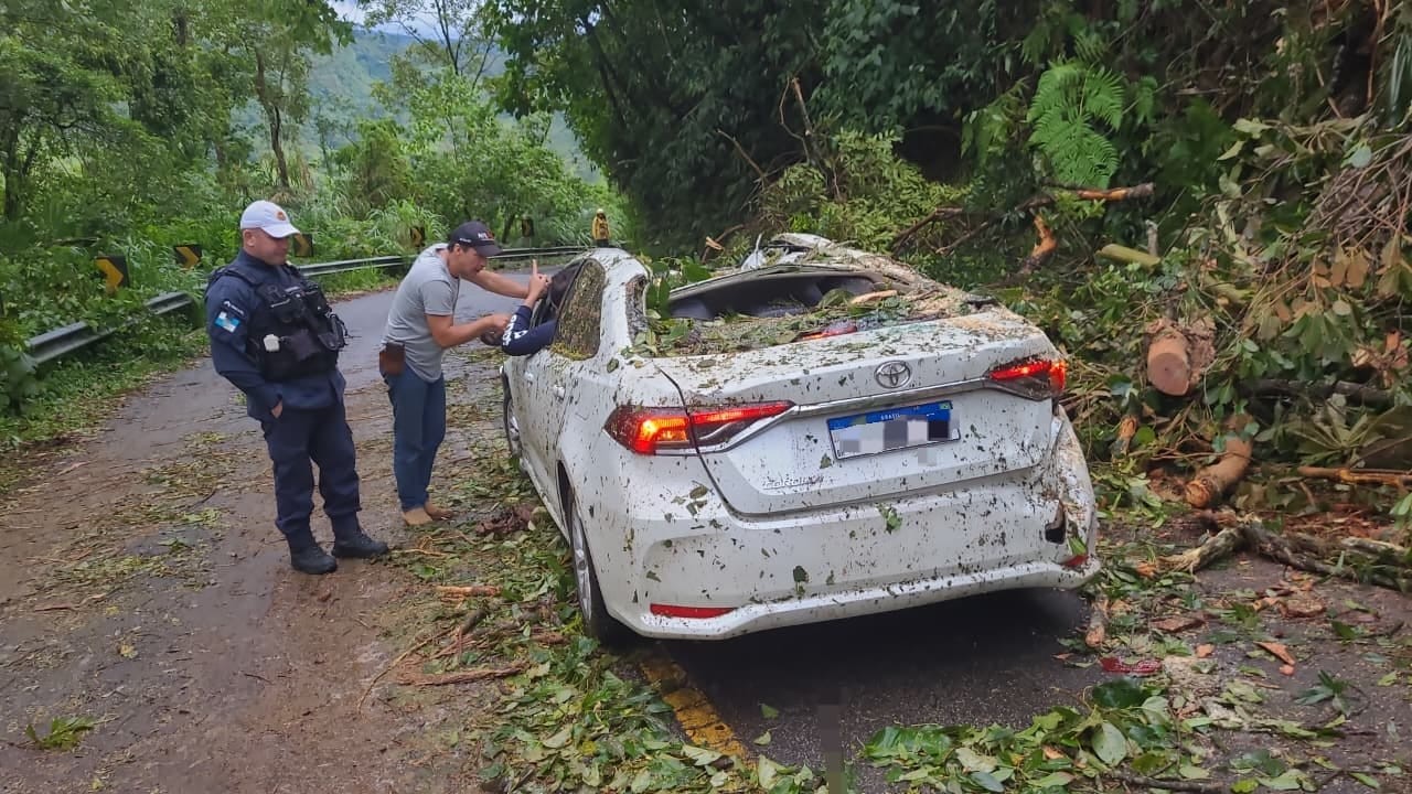 Árvore cai em cima de carro após temporal e interdita rodovia em Visconde de Mauá, em Resende