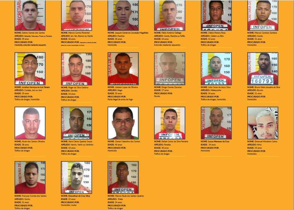 Polícia Civil de MG prende dupla foragida por homicídio com decapitação