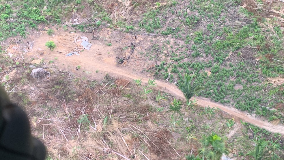 Área degradada no Parque Estadual Guajará-Mirim — Foto: Silas Paixão/Ministério Público de Rondônia