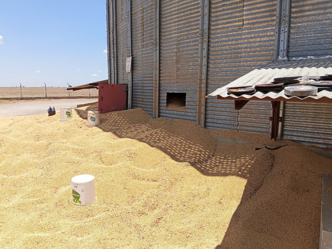 Trabalhador morre após cair em silo de soja em fazenda na Bahia; colega de trabalho sobreviveu