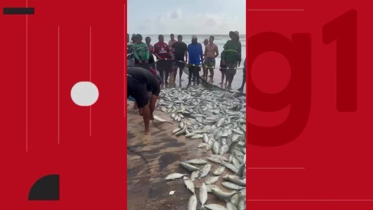 Pescadores do Litoral Sul de Alagoas comemoram a captura de cerca de 5 mil peixes