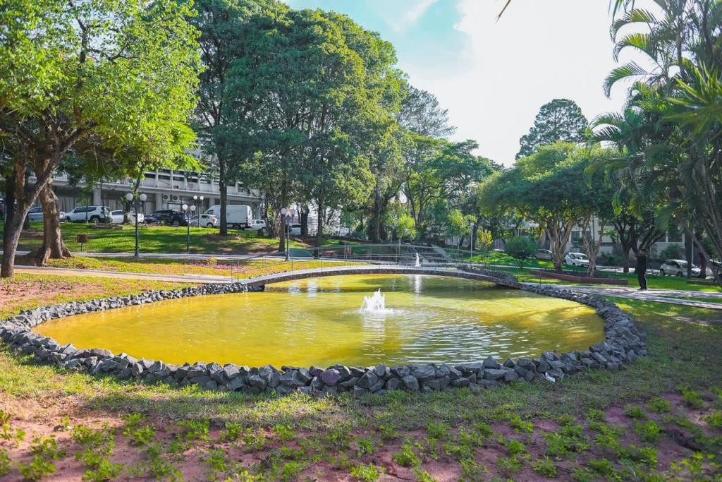 Prefeitura de Bauru investiga envenenamento de peixes na Praça das Cerejeiras