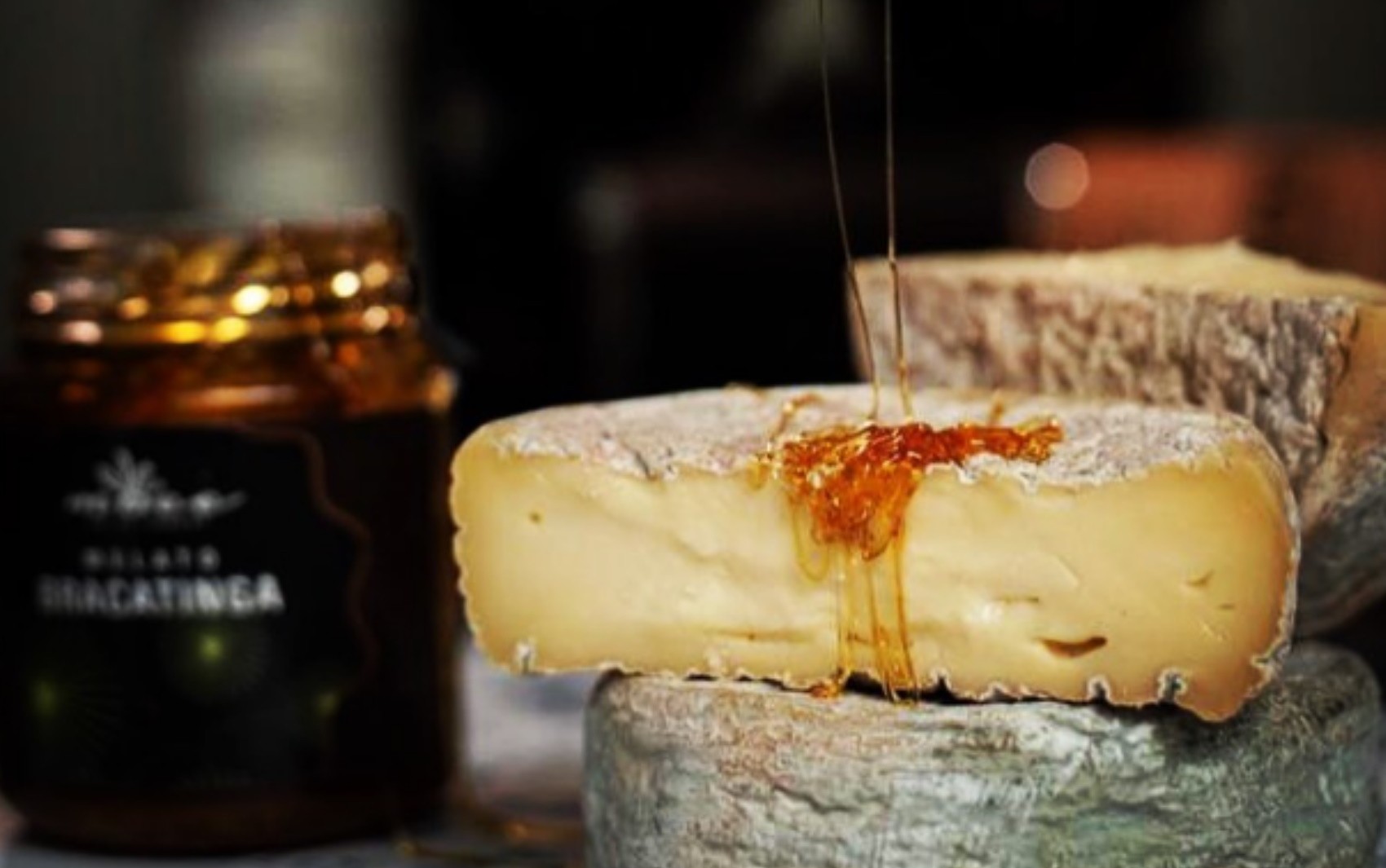 Técnicas francesas e maturação em câmara fria: Conheça queijo fabricado por família goiana premiado em campeonato mundial