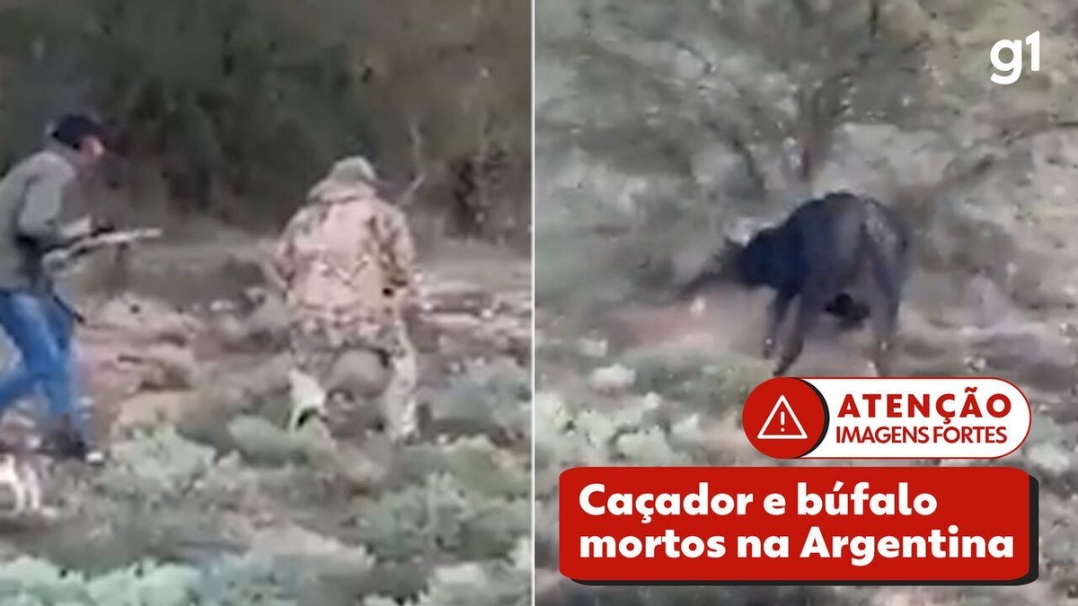 Búfalo mata cavalo e fere peão em ataque de fúria no Pantanal - Interior -  Campo Grande News