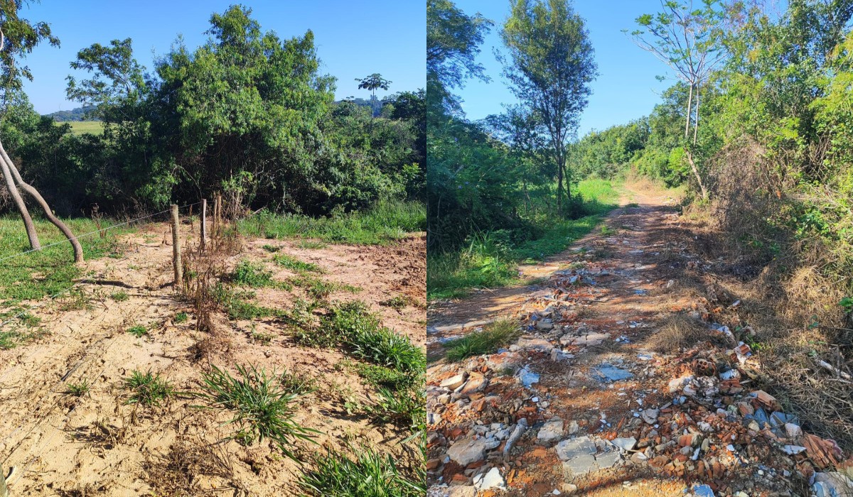 Proprietário é multado em R$ 11,6 mil por corte irregular de árvores nativas em chácara de Presidente Prudente