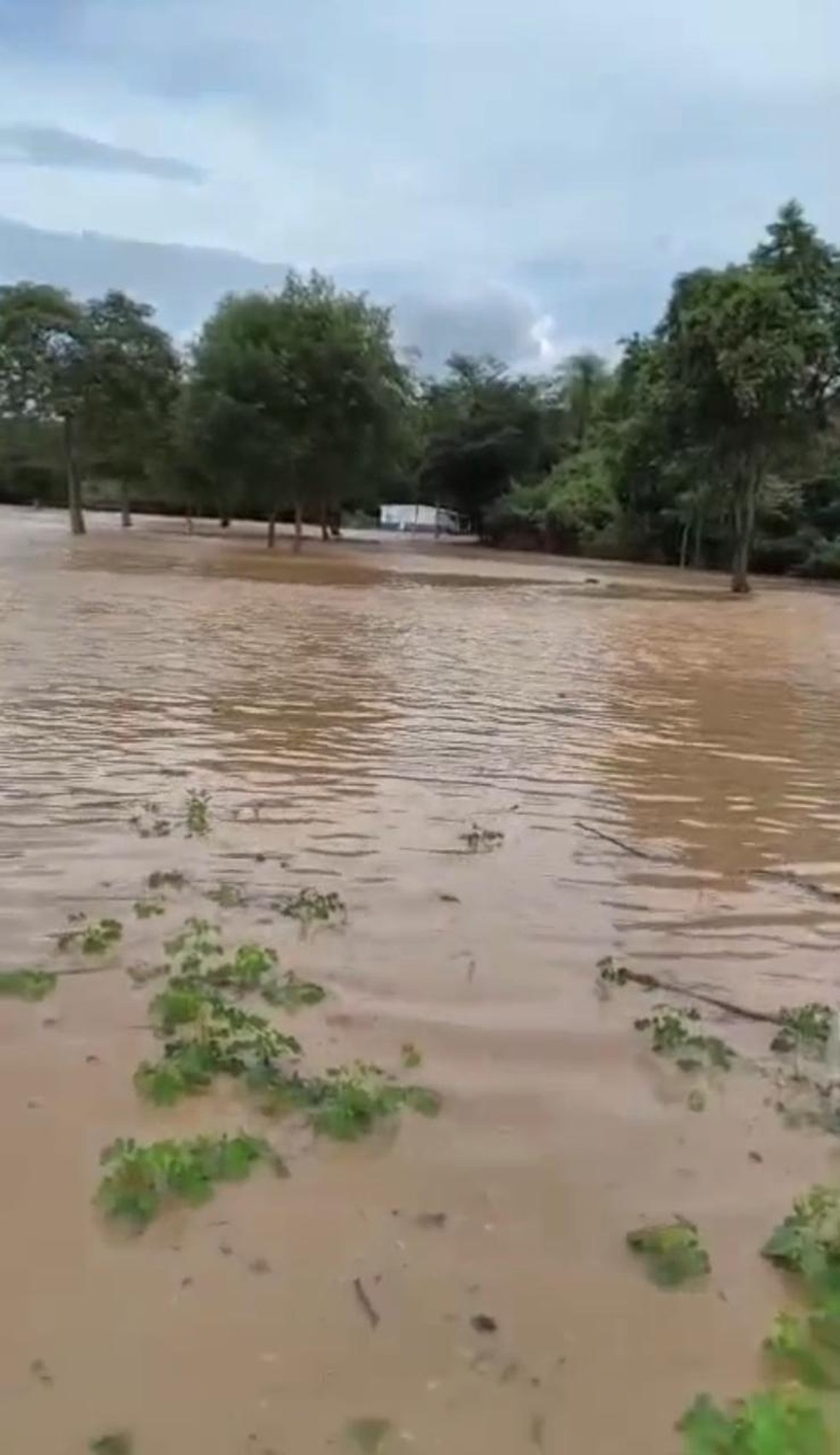 Imagem Divulgação/Bombeiros