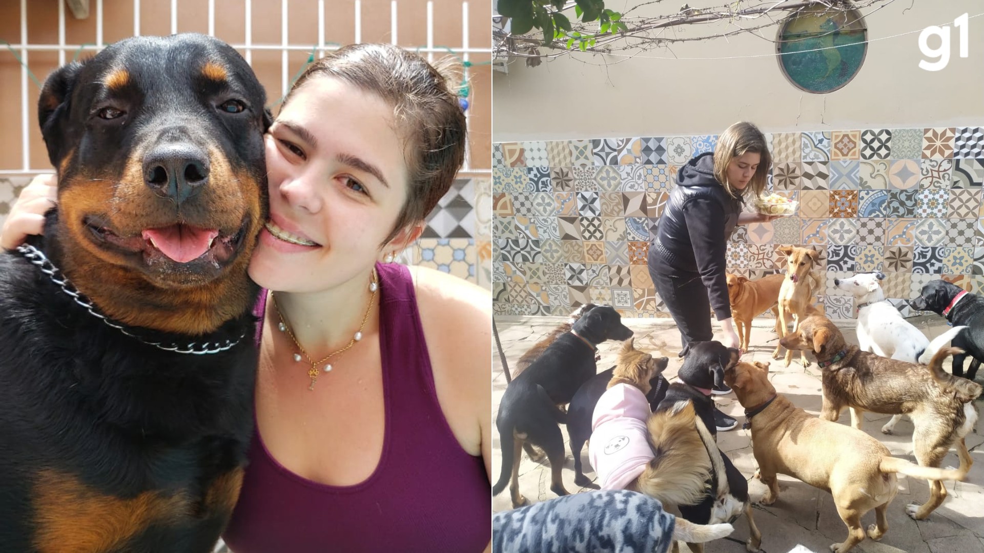 'Eles são a Alice': o legado da formanda em veterinária que morreu em um show e deixou mais de 20 cachorros para a família