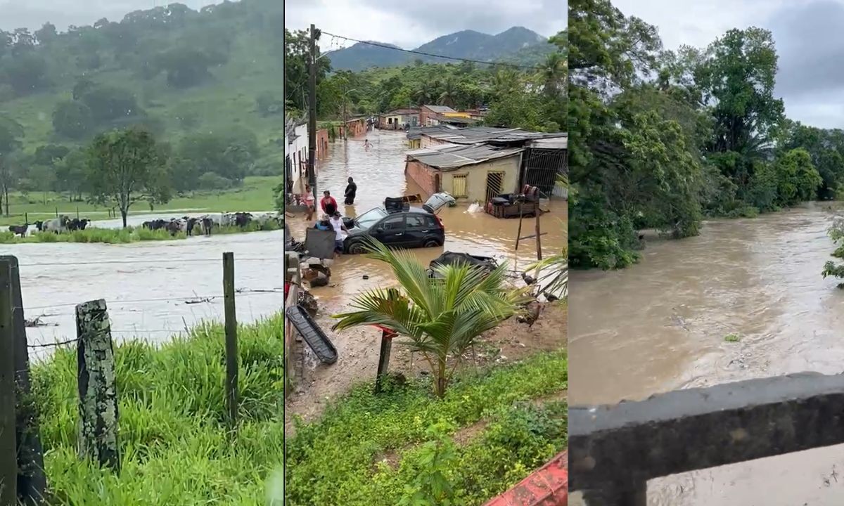 Nível do rio sobe após chuva e cerca de 50 famílias são obrigadas a deixar suas casas em cidade do sul da Bahia