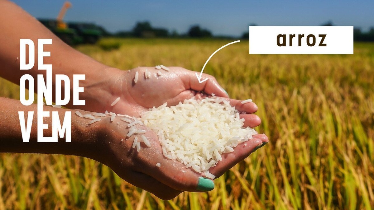 Rio Grande do Sul é o maior produtor de arroz do Brasil