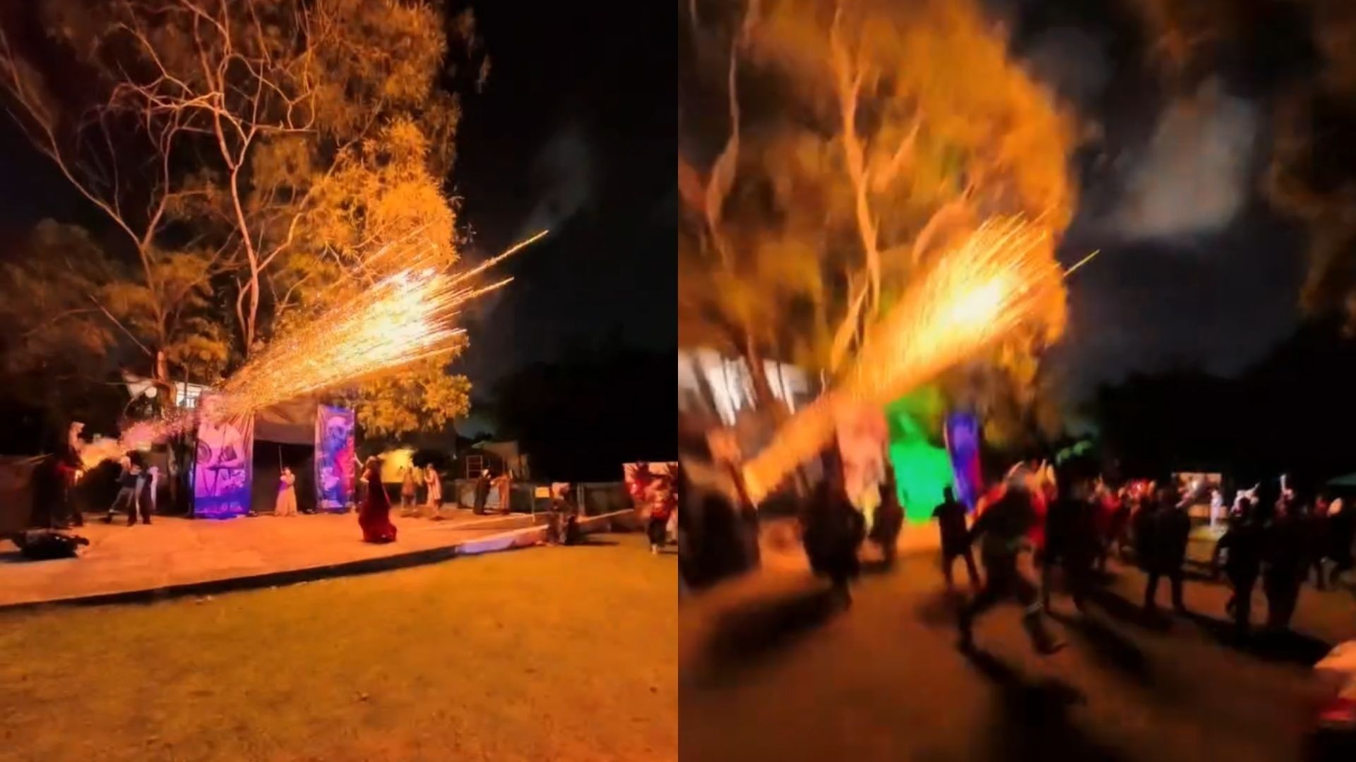 Evento de parque estadual em unidade de conservação e próximo a zoológico usa fogos de artifício e gera críticas: 'Poluição sonora e luminosa', diz biólogo