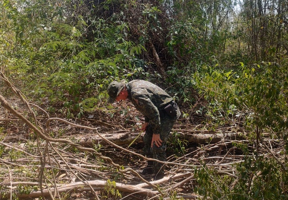 Fazenda é multada em R$ 5,7 mil por destruição de vegetação nativa, em Inúbia Paulista