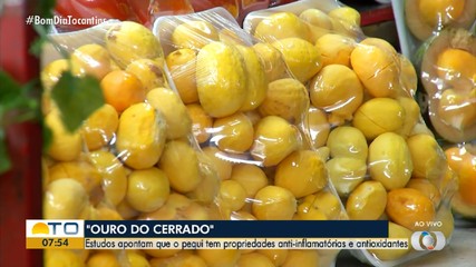 Saiba quais são as propriedades nutricionais e medicinais do pequi do Cerrado