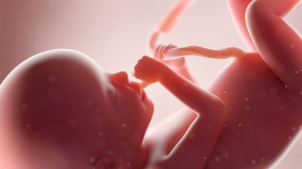 As fases mais vulneráveis ​​aos efeitos dos obesogênicos são as primeiras da vida: a fase fetal e a primeira infância — Foto: GETTY IMAGES via BBC