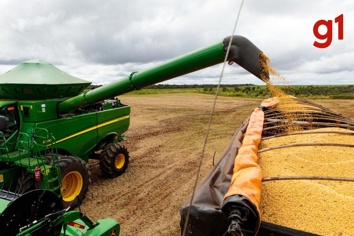 MT mantém liderança em ranking nacional de valor da produção agrícola, mesmo com queda de 21,3%
