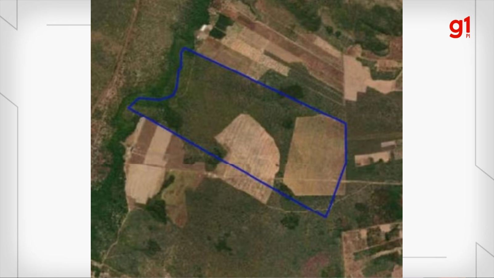 Fazenda de 360 hectares avaliada em R$ 7,2 milhões no PI não tem lance em leilão e preço cai pela metade