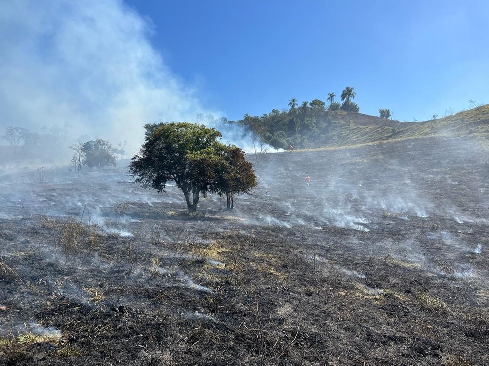 Queimada destrói 11 hectares de vegetação em Taubaté, SP. — Foto: Divulgação/Defesa Civil