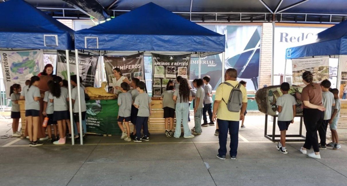 Circuito ambiental em Itaipava reúne educação, exposição e interação com animais