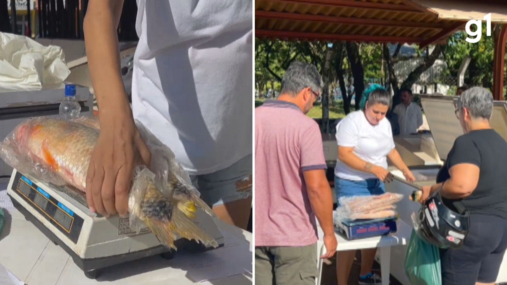 Com atraso no pagamento do seguro-defeso, Semana Santa reforça renda e traz alívio a pescadores no RS