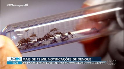 Tocantins registra 12 mil notificações de casos de dengue em 2025