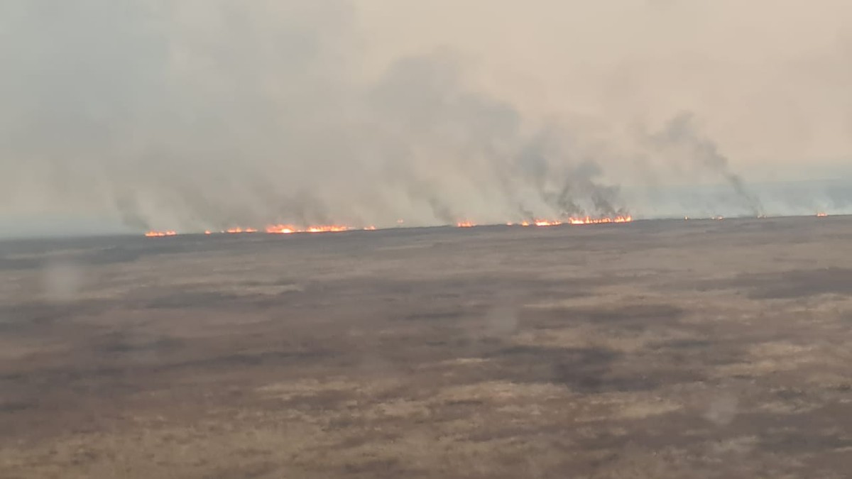 Escassez de água e fogo subterrâneo dificultam combate a incêndio no  Pantanal de MT perto da fronteira com a Bolívia, Mato Grosso