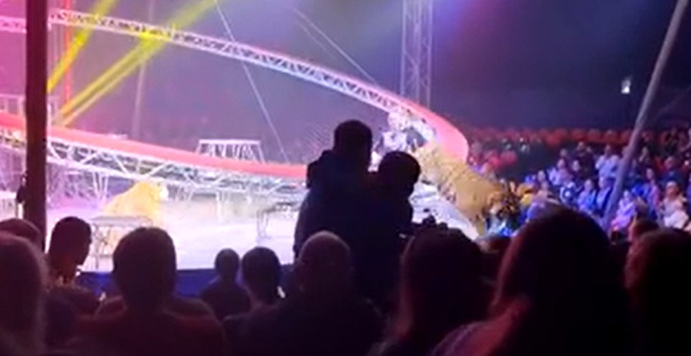 Tigre foge durante apresentação na Rússia — Foto: Reprodução/161ru