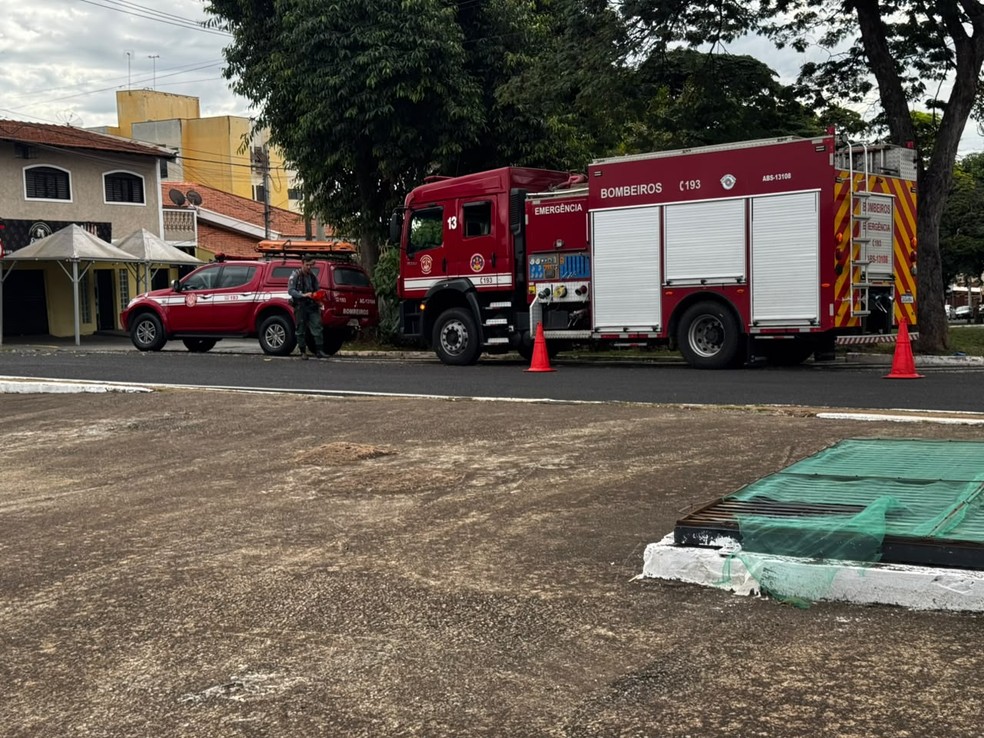 Antebraços e mãos de mulher esquartejada foram localizado em galeria pluvial em São José do Rio Preto (SP) — Foto: TV TEM / Muryel Boian