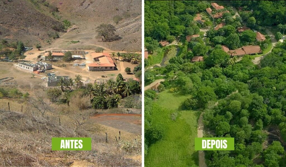 Fazenda do Bulcão antes e depois do processo de reflorestamento iniciado em 1998 — Foto: Divulgação / Instituto Terra
