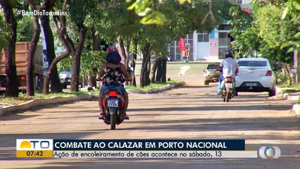 Campanha de combate ao calazar promove ação de encoleiramento de cães em Porto Nacional
