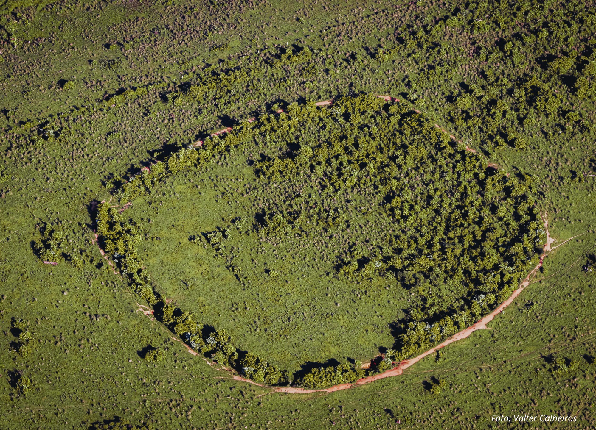 Imagens inéditas revelam marcas de civilizações antigas em geoglifos no Amazonas